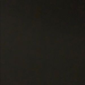 Meet your Posher, Daisy